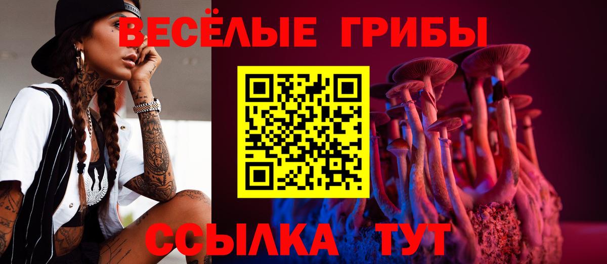 Галлюциногенные грибы Cubensis Великий Устюг