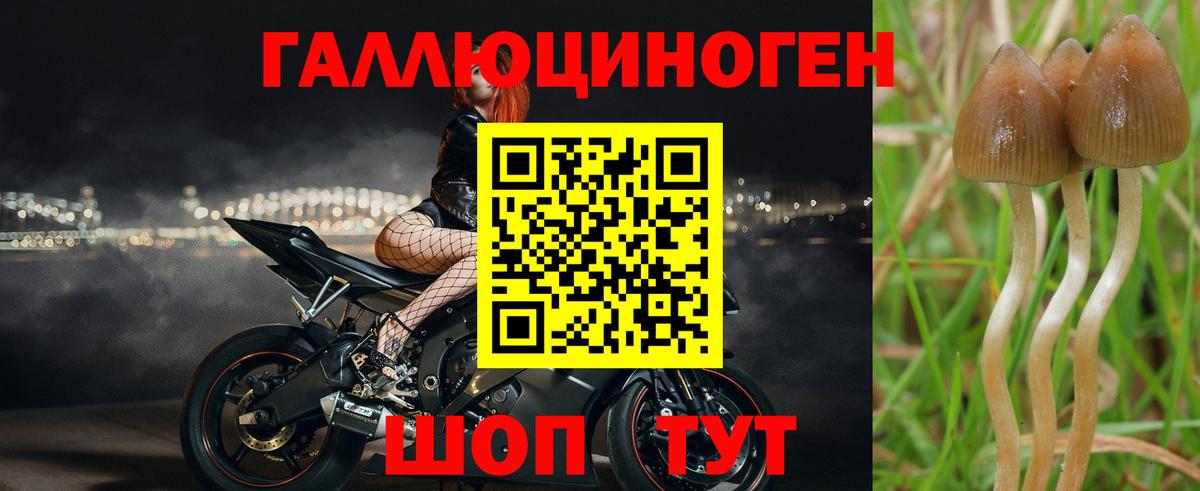 Галлюциногенные грибы Cubensis  Вход с VPN  Великий Устюг 